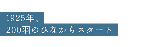 1925年、200羽のひなからスタート