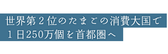 世界第２位のたまごの消費大国で１日250万個を首都圏へ